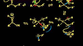 Acidcatalyzed ester hydrolysis  Organic chemistry  Khan Academy [upl. by Nella]