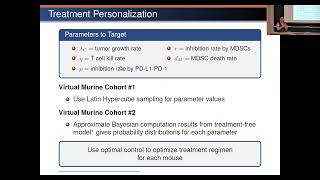 Optimal control of combination immunotherapy for a virtual murine cohort in a glioblastomaimmune [upl. by Ner]