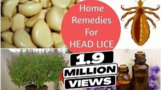 Top 5 Home Remedies To Get Rid Of Head LICE amp Nits  Sushmitas Diaries [upl. by Taam]