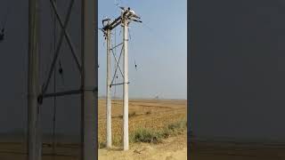 Manual installation of 11000 line bihar electricity india viralshorts [upl. by Hulton]