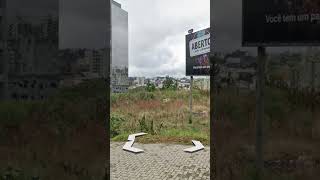 Chatgpt random street  Part 18 mapshorts travel chatgpt foryou [upl. by Adlare]