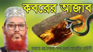 Islamic Waz  Koborer Azab O Hasorer Bicharer  allama saidi bangla waz  saidi waz [upl. by Juieta]