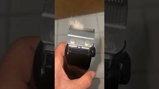 Cleaning And Oiling My Wahl Trimmer doggroomingforbeginners wahlclipper blades [upl. by Eenolem]