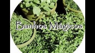 Banhos Magicos 2017 [upl. by Nogam]