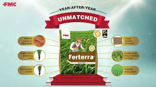 Ferterra® Insecticide for Paddy  Battle Against Dead Hearts in Rice Granules  FMC India [upl. by Mackenie]