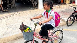 My dog ​​went to school by himself to pick up my daughter from school [upl. by Ariet]