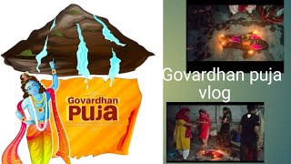 Govardhan Puja vlog🪔 [upl. by Ahsitul]