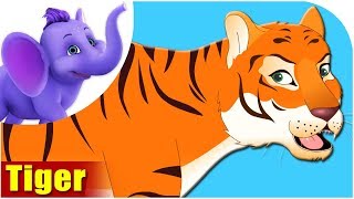 Animal Songs for kids  Tiger Songs [upl. by Telocin63]