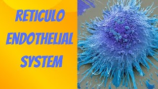 RETICULOENDOTHELIAL SYSTEM [upl. by Pratte]