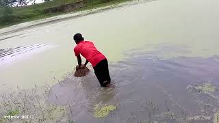 মাছ ধরার সুন্দর কৌশল আগে কখনো দেখেন নি। Fish catching video 2024 [upl. by Ahsieyt]