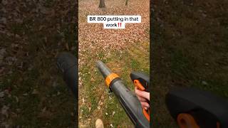 Putting the Stihl BR800 to work landscaping [upl. by Pape]