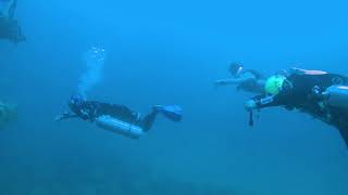 Bataan Nuclear Power Plant Penetration Dive [upl. by Gettings]