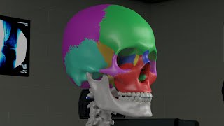 Chapter 1 Basic Sinus Anatomy [upl. by Lusar762]