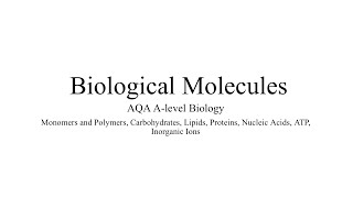 MONOMERS AND POLYMERS AQA ALevel Biology amp Exam Style Question [upl. by Arratal]