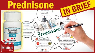 Prednisone 5mg Deltasone What Is Prednisone Used For Uses Dosage and Side Effects of Prednisone [upl. by Erdreid]