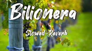 Bilionera  SlowedReverb 🎧  Otilia [upl. by Eromle]