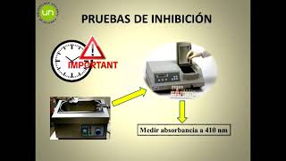 Práctica inhibidores de tripsinaLaboratorio de Bioquímica [upl. by Dorie]