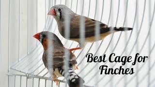 Best Cage for Finches  Top 5 Cages of 2021 [upl. by Nally365]