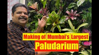 Making Of Mumbais Largest Nature Paludarium  Mayur Dev Aquascaper  Aqua Paludarium Waterfall 4K [upl. by Tonya443]