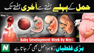 Pregnency Week By Week in Urdu 🌟 Baby Development Week By Week 👶🏻  Nagina TV [upl. by Novyat480]