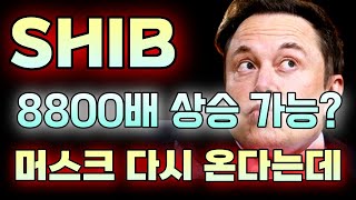 시바이누 코인  8800배 상승 가능 머스크 다시 온다는데요 시바이누전망 시바이누분석 시바이누대응 [upl. by Tove794]