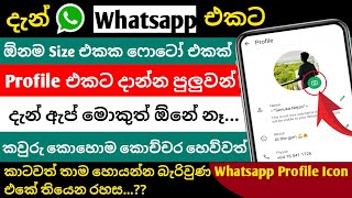 Whatsapp Secret Trick in Profile Icon Sinhala New 2024  Whatsapp Rahas Sinhala New 2024 [upl. by Raskind]