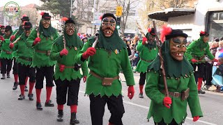 Fasnet Narrentreffen in Waldkirch Teil2 [upl. by Navaj]