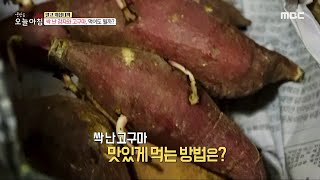 생방송 오늘 아침 싹 난 감자와 고구마 먹어도 될까 MBC 240103 방송 [upl. by Charie]