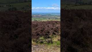 Panoramic view from Cranberry Rock The Stiperstones Shropshire England [upl. by Malchy]