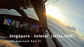 Landing Singapore  SeletarWSSLXSP  Gulfstream G650 [upl. by Jayne]