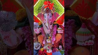 Gharcha Ganpati Bappa 🙏 Devine experience F3SVMVLOGS [upl. by Trueblood]