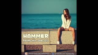 Hammer  Promo Mix June 2013 [upl. by Heer]