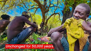 Exploring The Amazing Lifestyle Of The Hadza Tribe Hunting Cooking And Survival In The Wild [upl. by Merari976]