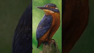 POV The final brushstrokes Available 16quot×20quot oil on linen fyp kingfisher bird oilpainting [upl. by Desma]