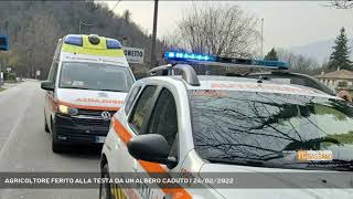 AGRICOLTORE FERITO ALLA TESTA DA UN ALBERO CADUTO  24022022 [upl. by Fadiman]