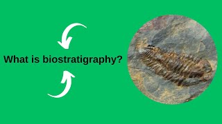 What is biostratigraphy [upl. by Asillam]