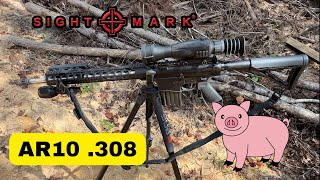 Palmetto State AR10 308 Pig Popper with Sightmark Wraith 4K Max [upl. by Nelson695]