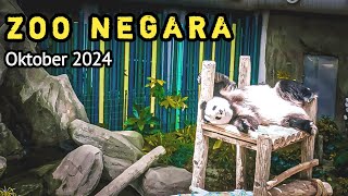 Zoo Negara  birthday masuk percuma  vlog trip jalan jalan cuti di Zoo Negara 2024 [upl. by Ardnu966]