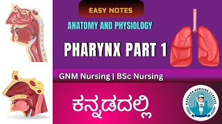 Anatomy and Physiology of Pharynx Part 1  Anatomy And Physiology In Kannada [upl. by Melodie636]