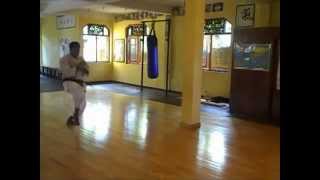 CHINTO  Shorin Ryu KYUDOKAN [upl. by Carina]