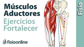 Músculos aductores  Fortalecimiento o reprogramación [upl. by Childers]