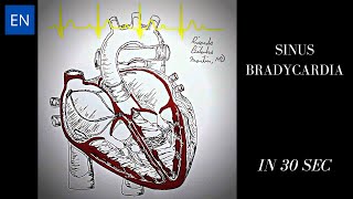 Sinus Bradycardia Animation and ECG Shorts [upl. by Naimaj727]