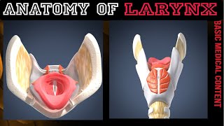 Anatomy of Larynx  ligaments  Membranes  Vocal cords [upl. by Zadoc]