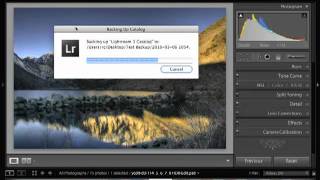 Lightroom 3 Backup Import Catalog [upl. by Caddaric964]