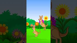 🦘 KANGAROO Song  Fun Animated Cartoon Video for Kids by JBBearz 🎶 shorts shortsvideo [upl. by Irok]