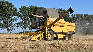 New Holland TX32  Loonw NeytVan Laere  graszaad dorsen [upl. by Schwinn]