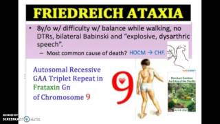 Friedreichs Ataxia Causes Symptoms Diagnosis Treatment  Gait Ataxia USMLE NCLEX MCAT 3 mn [upl. by Zaragoza286]