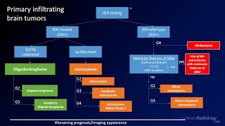 Emergency Imaging of Brain Tumors Classification [upl. by Isawk]