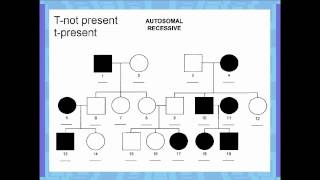 sex linked and pedigrees [upl. by Linoel]