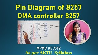 8257  pin diagram of 8257 DMA controller  pin description of 8257 [upl. by Oibirot509]